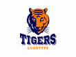 Tigers - logo, icon, illustration on white background