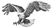 Eagle landing hand draw sketch black line on white background illustration.