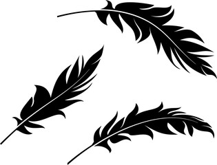  Feather Icon Collection Design