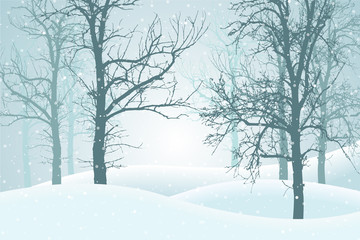 Wall Mural - Vector illustration of winter forest with snow and mist, suitable as Christmas card