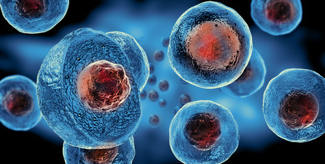 Wall Mural - embryonic stem cells , cellular therapy