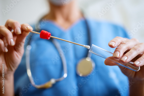 Fotomural Close up of nurses hands holding buccal cotton swab and test tube ready to collect DNA from the cells