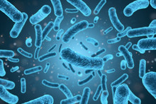 3D Rendering Bacteria Closeup In Blue Background.