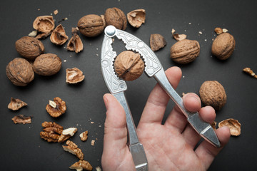 Wall Mural - The hand with the nutcracker cleaves the walnut and takes out the core.