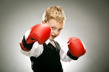 young elegant business boy punch with boxe gloves portrait on grey background