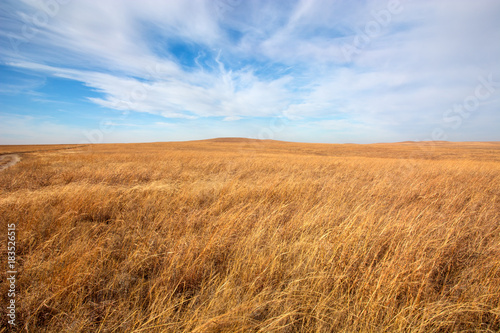 Cuadros en Lienzo Flint Hills tallgrass prairie in Kansas.