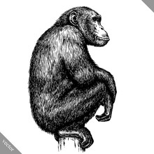 Black And White Engrave Isolated Monkey Vector Illustration