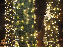 Tree Trunks Wrapped With New Year Garlands. Street Christmas Decorations. Christmas Light