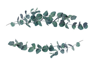 Wall Mural - Decorative eucalyptus leaves wave arrangements