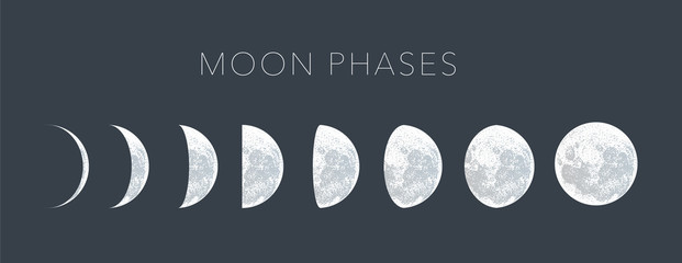 moon phases dot vector background