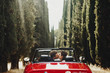 Look from behind at wedding couple kissing in a red cabrio which stands between tall trees somewhere in Tuscany, Italy