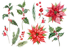 Watercolor Christmas Poinsettia Set