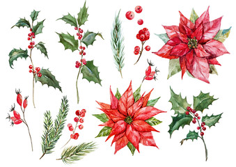 Watercolor christmas poinsettia set