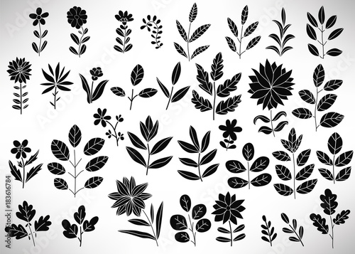 Floral Set Of Black Hand Drawn Floral Elements Tree Branch Bush Plant Leaves Flowers Branches Petals Isolated On White Collection Of Flourish Elements For Design Vector Illustration Stock Vector Adobe Stock Floral Set Of Black Hand Drawn Floral Elements Tree Branch Bush Plant Leaves Flowers Branches Petals Isolated On White Collection Of Flourish Elements For Design Vector Illustration Stock Vector Adobe Stock