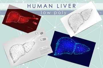 Wall Mural - Human liver low poly medicine science illustration set. Internal organ anatomical pain cure concept. Help keep health drug mechanism action vector polygonal geometric point line