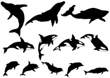 Set Of Whale, Killer Whale, Dolphin Silhouettes