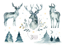 Watercolor Closeup Portrait Of Blue Deer. Isolated On White Background. Hand Drawn Christmas Indigo Illustration. Greeting Card Animal Winter Design Decoration