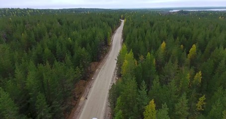 Wall Mural - Fast driving car with camera following above. Gravel forest road in evergreen woods