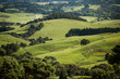 green farming landscape rolling hills