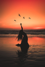 Silhouetted Girl On Beach With Birds And At Sunset