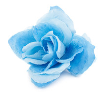 Artificial Flower Isolated