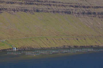 Wall Mural - Faroe island, Samon farm, Denmark