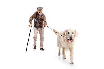 Canvas Print - Elderly man walking a dog