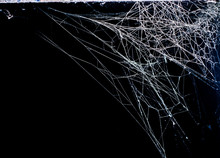 Spider Web, Background, Abstraction