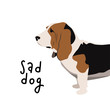 Sad dog vector illustration. Basset hound simple template for graphic design.