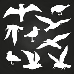 Canvas Print - White birds silhuette on chalkboard - flying seagulls silhouettes