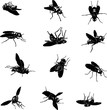 fly, insect, black, vector, silhouette