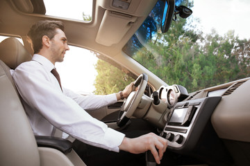 Wall Mural - Businessman in driver's seat of car