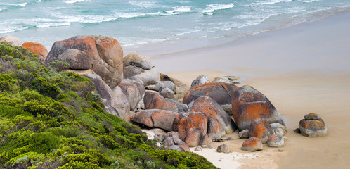 Sticker - Scenic beach at Whisky Bay, Wilsons Promontory, Victoria, Australia