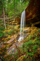 Wall Mural - van hook falls, daniel boone national forest, ky