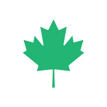 Green Maple Leaf Vector Icon. Maple Leaf Clip Art.