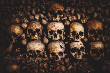 skulls and bones in Paris Catacombs