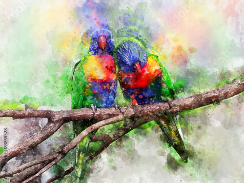 Obrazy papugi  lorikeets