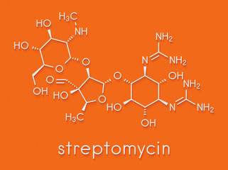 Wall Mural - Streptomycin tuberculosis antibiotic (aminoglycoside class) molecule. Skeletal formula.