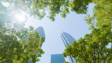 Wall Mural - perspective exterior pattern blue glass wall modern buildings with green tree leaves