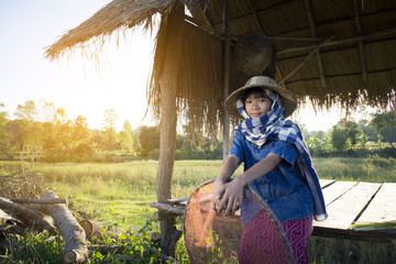 Wall Mural - Asian farmer girl working at rice field on harvest season, selective and soft focus