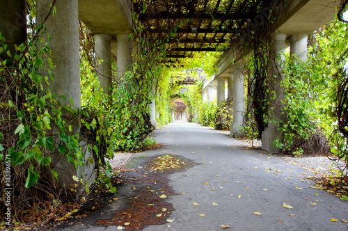 Cuadros en Lienzo Niesamowita pergola we wrocławskim parku Szczytnickim przy Hali Stulecia, obrośn