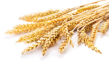 Wheat ears isolated on white background