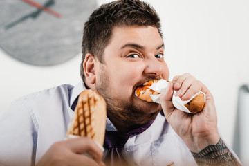 Wall Mural - fat businessman eating hotdogs at workplace in office