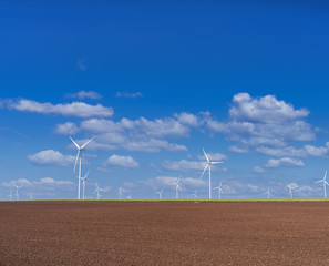 Wind power stations on the field. Cloudless sky on the background.