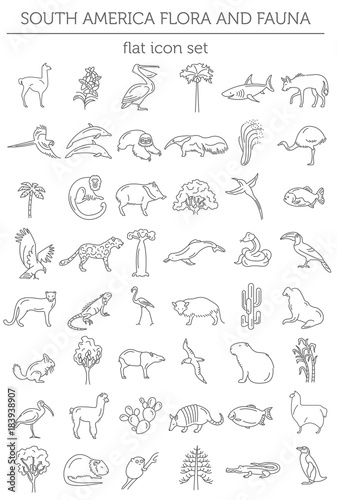 Fotografía Flat South America flora and fauna elements