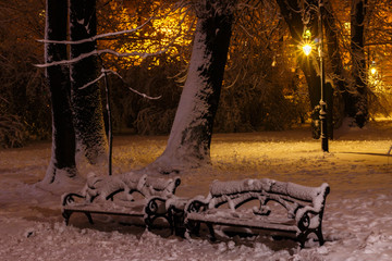 Wall Mural - Winter snow night Park in Europe