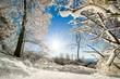 Heitere Winterlandschaft mit Sonne, Schnee auf Bäumen und blauem Himmel