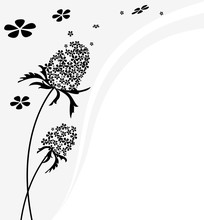 Vector Flower Background. Black, White Pattern