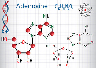 Poster - Adenosine - purine nucleoside molecule, is important part of ATP, ADP, cAMP , RNA, DNA. Sheet of paper in a cage