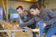 © auremar - carpenter with apprentice in training period